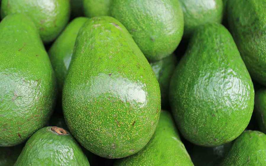 A group of vibrant green avocados represents the types of superfoods you can plant in your garden.