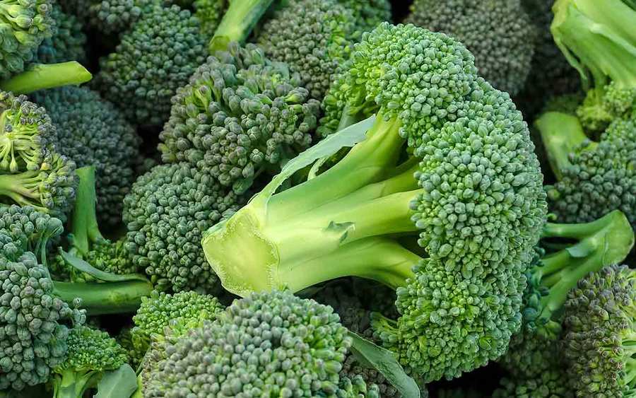 Fresh broccoli florets represent the types of superfoods you can plant in your garden.