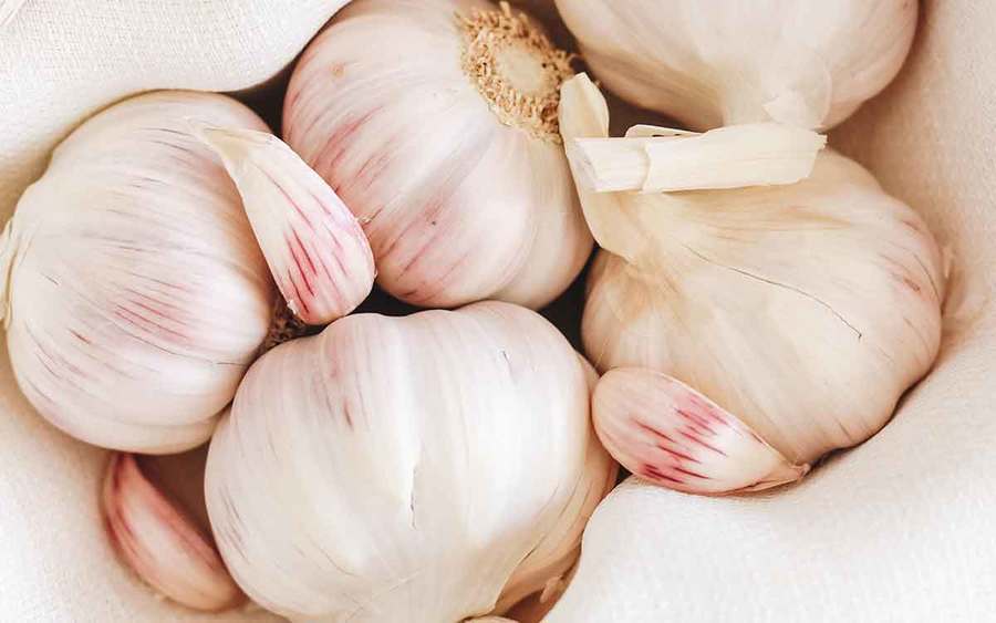 A group of white garlic bulbs represent the types of superfoods you can plant in your garden.