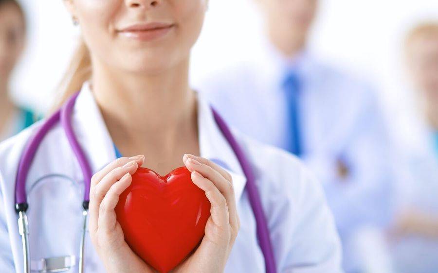 A doctor holds a toy plastic heart.