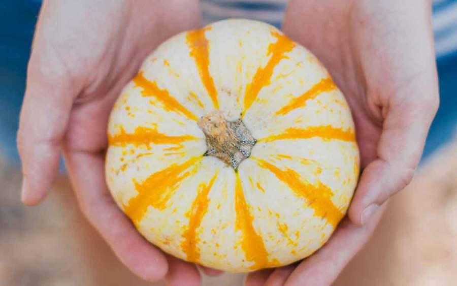A small white pumpkin represents the types of superfoods you can plant in your garden.