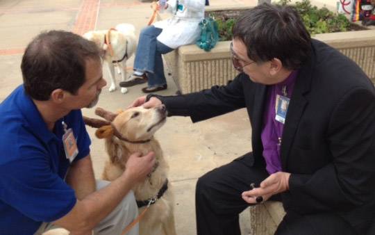 The pets who volunteer at Scripps Memorial Hospital in San Diego were honored for their work at a pet party at the hospital.