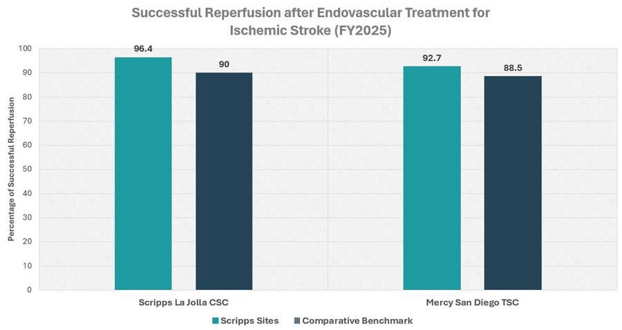 A bar graph representing the successful reperfusion after Endovascular Treatment for Ischemic Stroke FY2025.