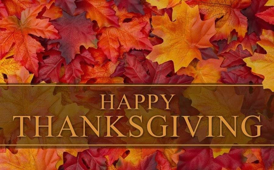 Happy Thanksgiving messaging over a colorful heap of fall leaves that signify holiday togetherness covered in the CEO blog.