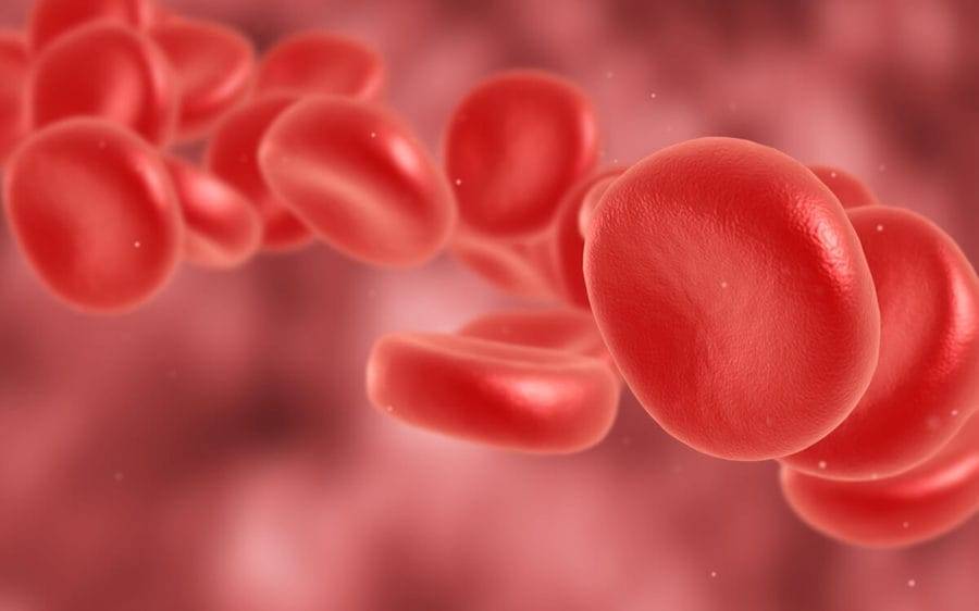 An image of red blood cells with supersaturated oxygen that signify media coverage of innovative heart treatment by Scripps. 