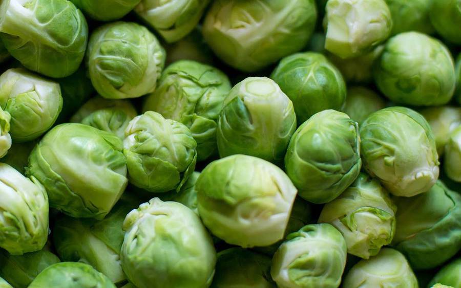A group of Brussels sprouts represents how adding cruciferous vegetables to your diet may help prevent cancer.