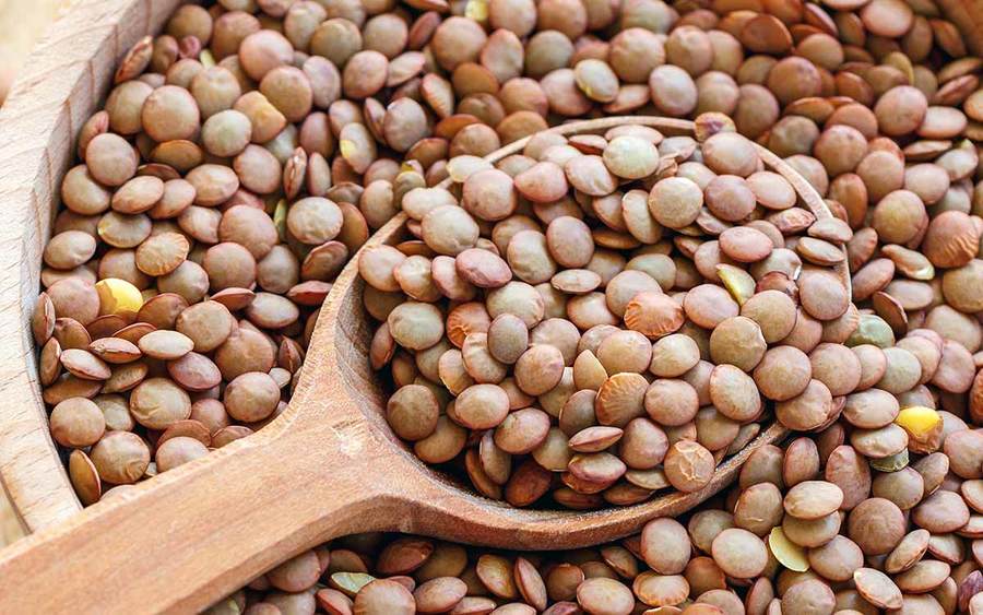 A bowl of lentils represents how adding legumes to your diet may help prevent cancer.
