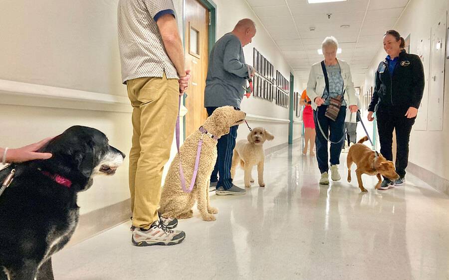 Dogs and their owners auditioning to be accepted into the canine therapy program at Scripps Health.