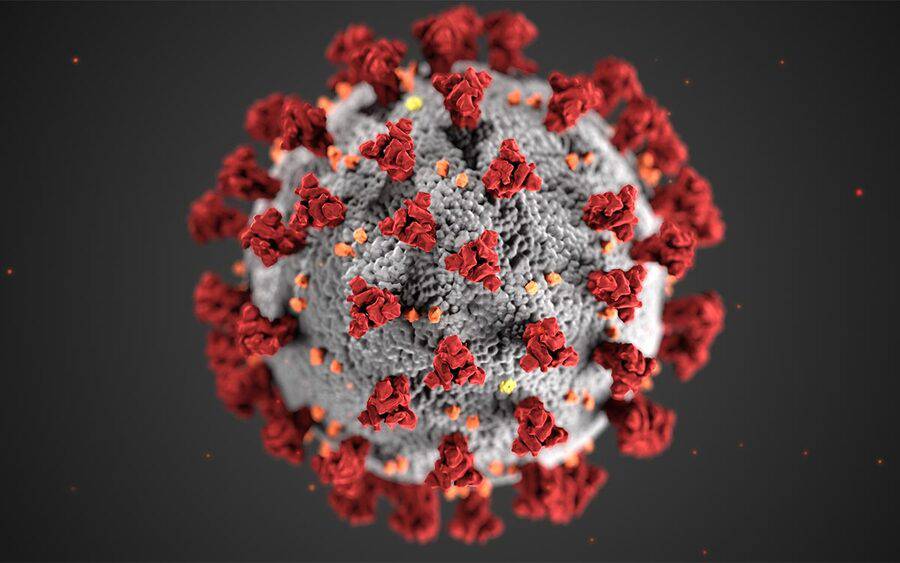 Illustration of a coronavirus cell.