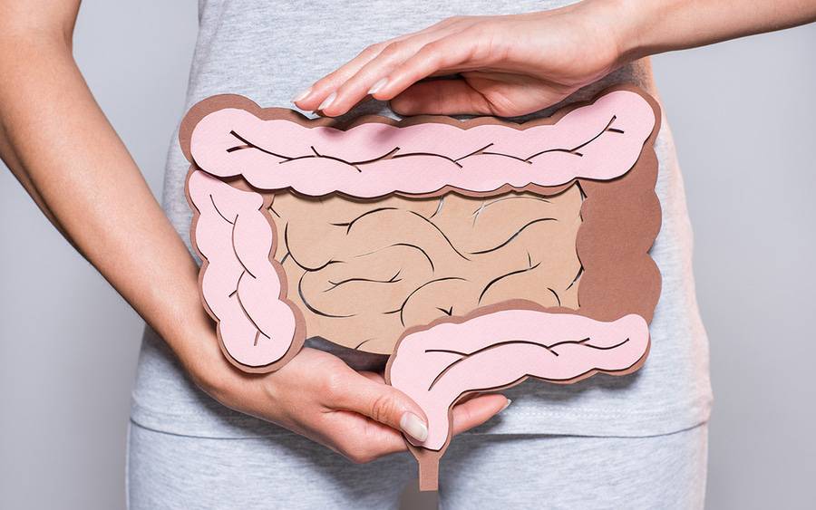 A woman holds a figure with image of intestines for an article about colonoscopy and colorectal cancer.