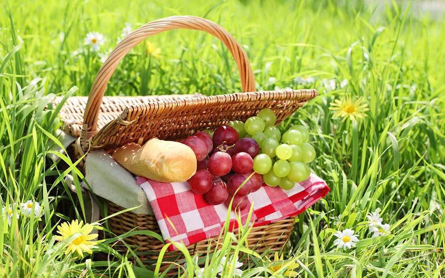 A picnic basket with bread and fruit.