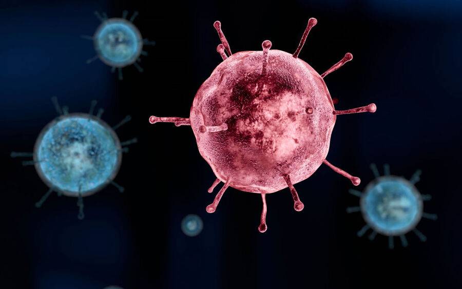 An illustration showing flu cells.