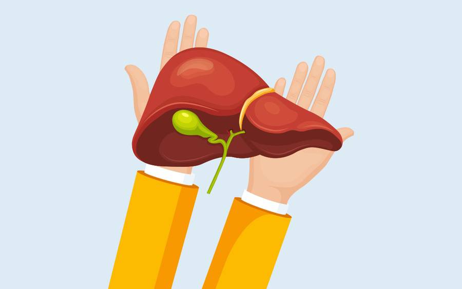 Illustration of gallbladder for article on when gallbladder removal or surgery is needed.