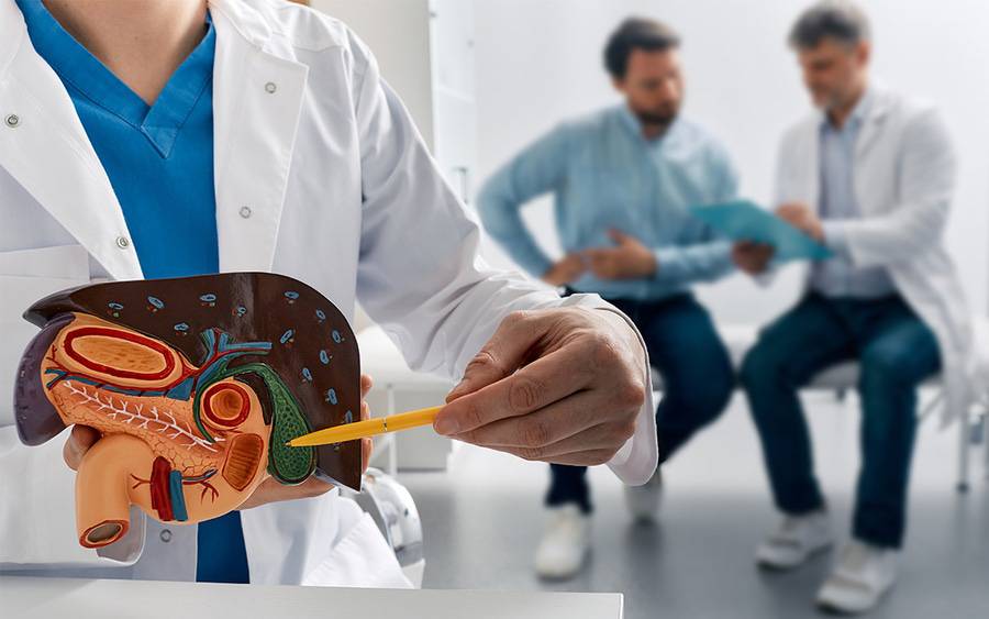 A doctor shows his patient a diagram of a gallbladder.