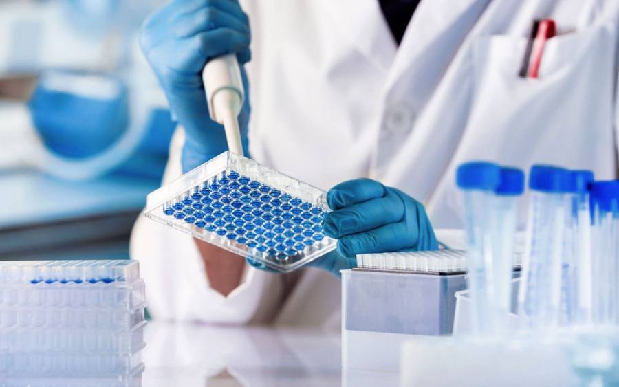 Lab worker examines genetic test for signs of cancer.