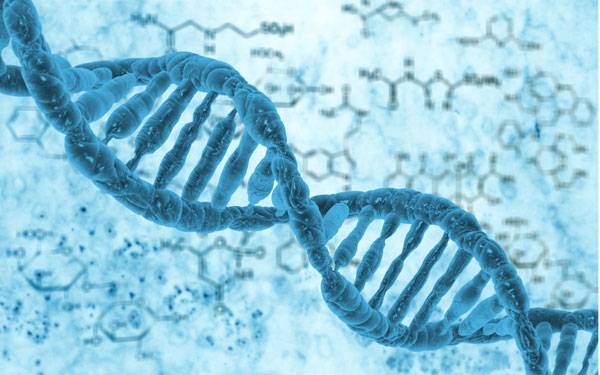 A mircrscopic DNA double helix
