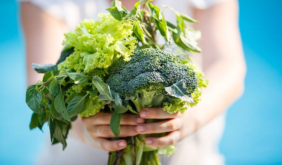 Bunch of greens in females hand