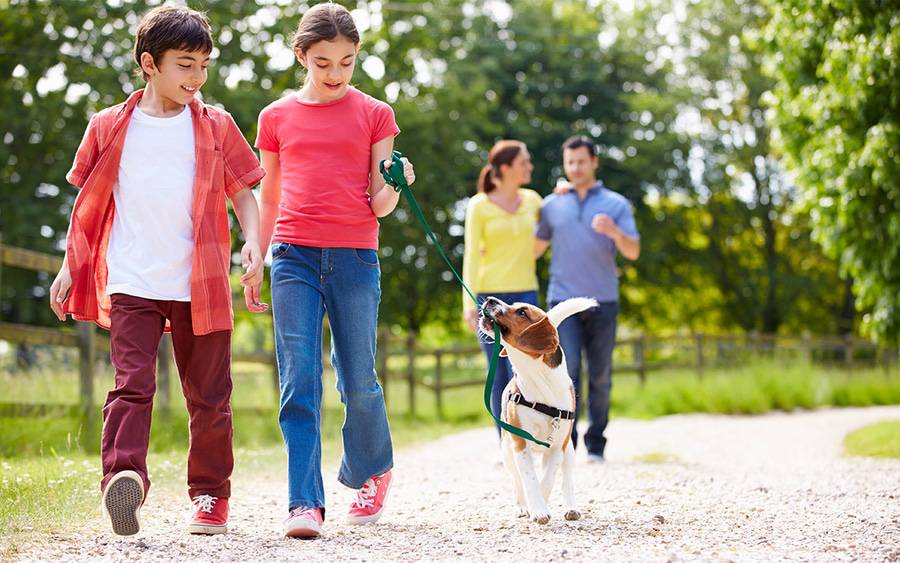 A Hispanic family takes a stroll in the park to get exercise. Picture illustrates article on Hispanic health issues.