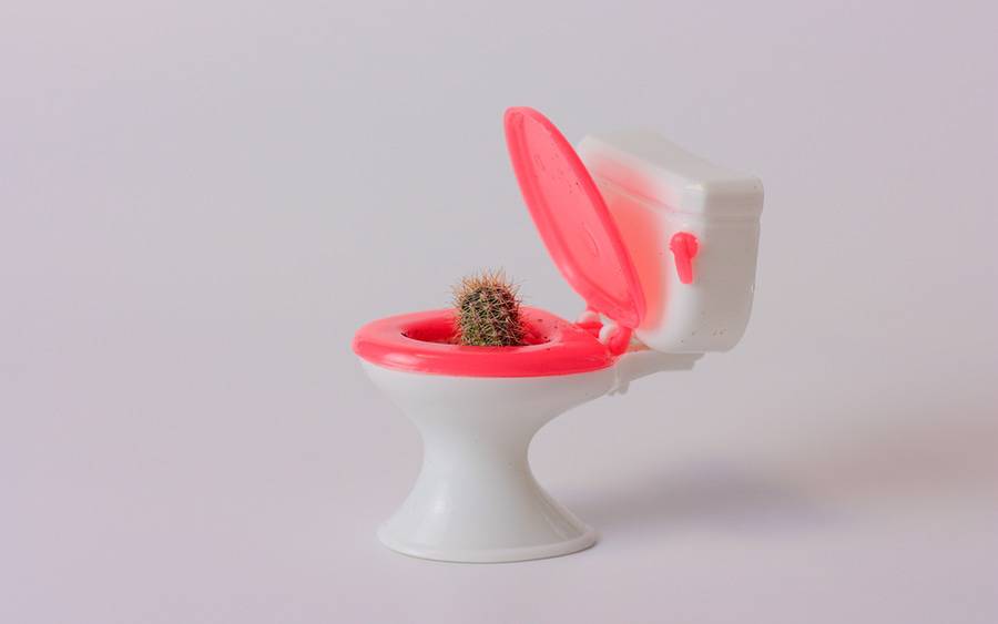 Hemorrhoids can feel like a cactus in your anus.