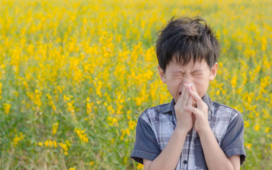 A little boy sneezes, an allergic reaction to pollen.