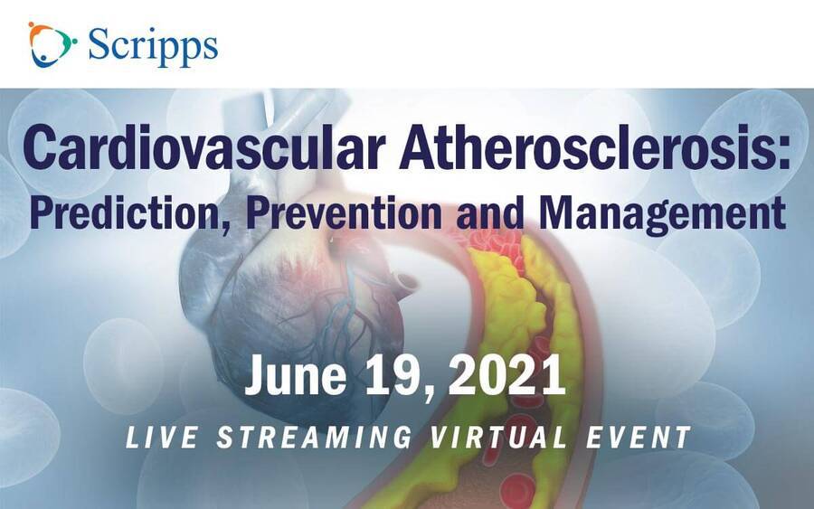 A medical illustration of lipids in a blood vessel represents this conference.