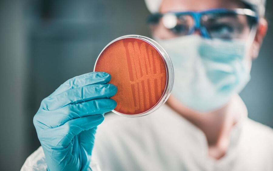 Lab worker holding petri dish with MRSA.