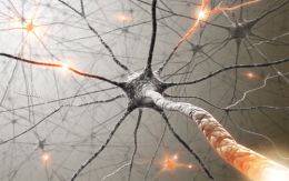 Neurology