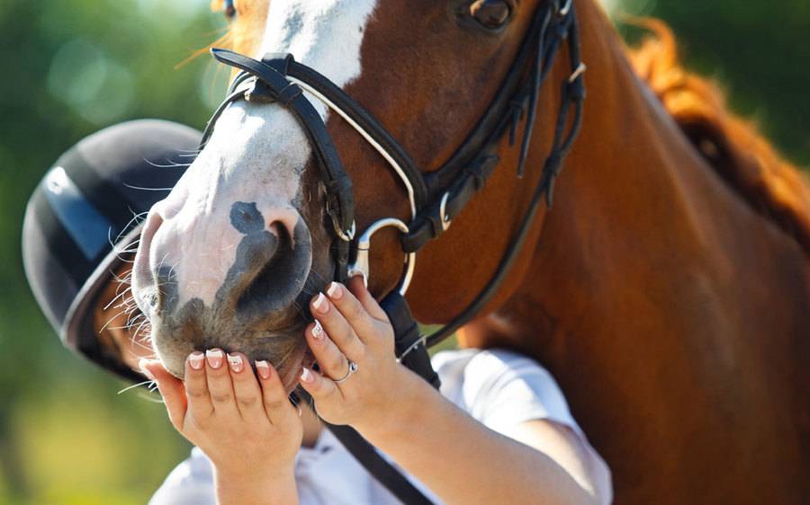 A woman with connective tissue disease joyfully embraces her horse after getting the care she needs at Scripps Health.