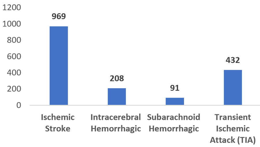 Bar graph showing the different types of stroke patients treated at Scripps in 2019.