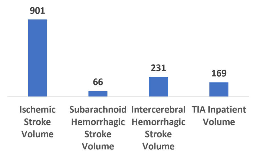 Bar graph showing the different types of stroke patients treated at Scripps in 2020.