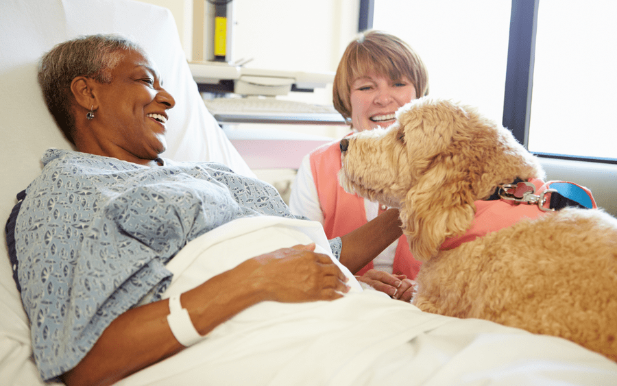 A volunteer and her pet visit a patient at the hospital, brightening her day.
