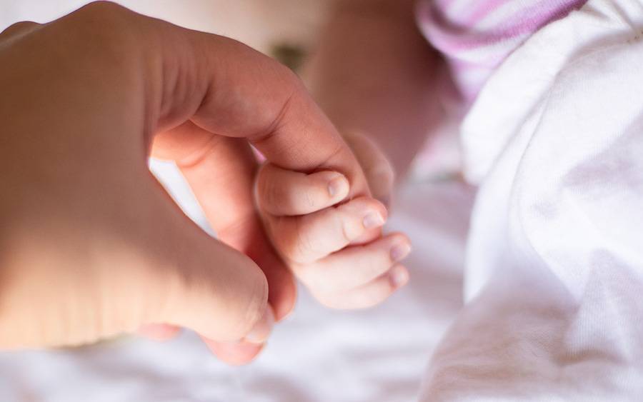 An adult hand holds the fingers of a premature baby.