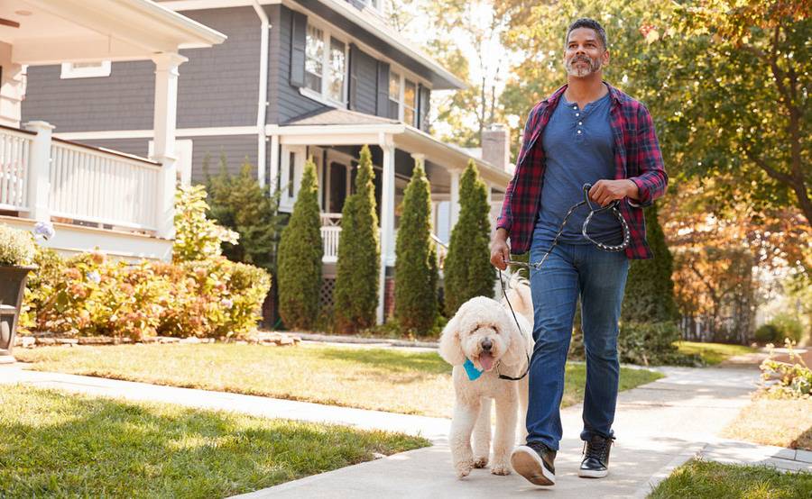 A man walking a dog through a residential neighborhood on a sunny day.