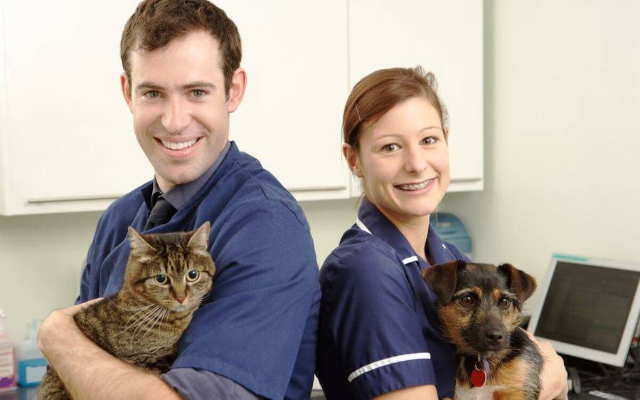 A man holding a cat and a woman holding a dog are happy about their Scripps benefits, which includes pet insurance.