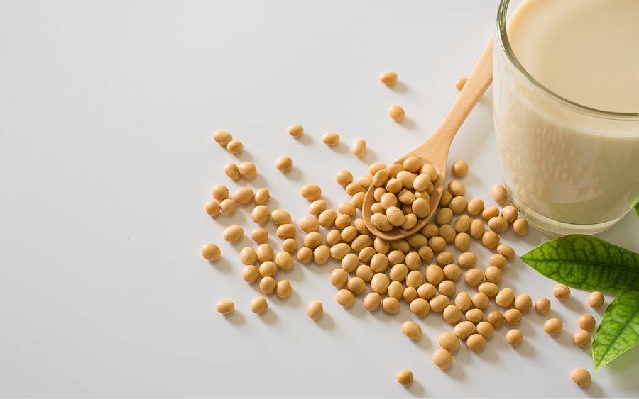 Are soy beans healthy for you?