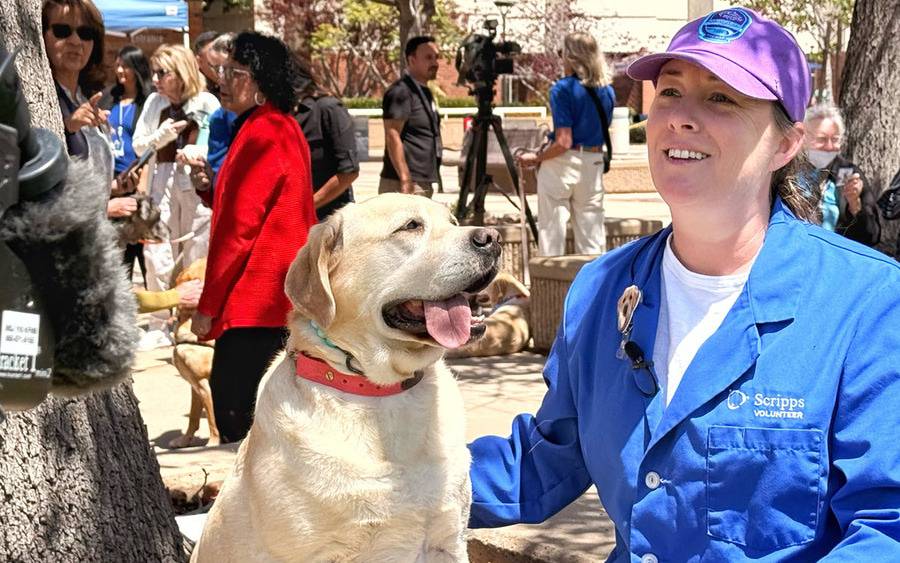 Scripps La Jolla therapy dog advisor Denelle Curry was interviewed by Fox 5, along with her pup Boujee. 