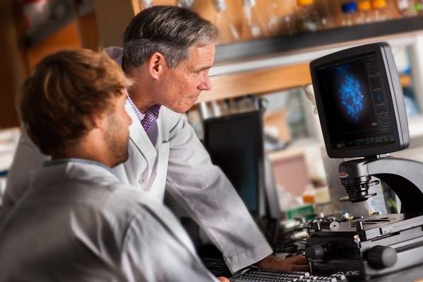 Physicians looking at an organism on a micrscope.