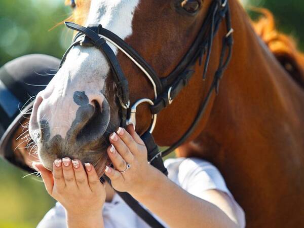 A woman and a horse outdoors.