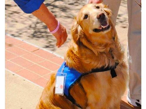 National Hospital Volunteer Week, held on Friday, April 11, 2014 at Scripps, recognized the exceptional work by all volunteers, including therapy dogs.