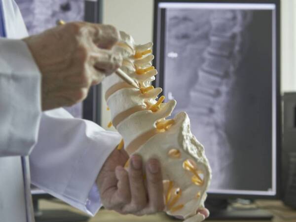 An orthopedic physician who specializes in back pain shows a model of spine bones in our body.