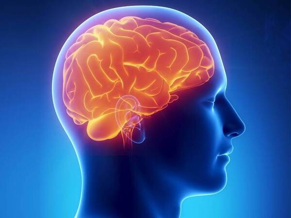 6 Ways to Maintain Brain Health