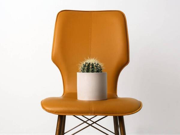 A seat with a cactus illustrates what it feels like to sit down with hemorrhoids.