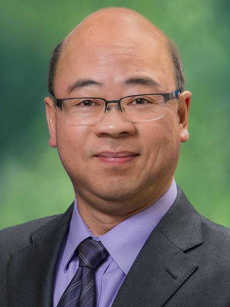 Palm Gavel Acmm Fnpsiena It